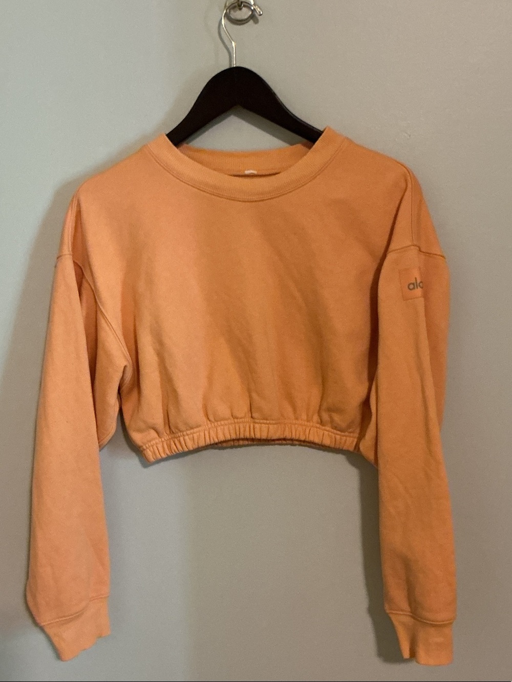 ALO Yoga Cropped Crewneck Sweatshirt - Picture 1 of 4